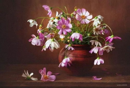 春意盎然 花卉摄影精品屏保推荐