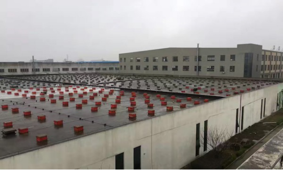 闲置屋顶变能源宝库 天爱能源携手润达光伏，604.8kW绿色电站点亮未来